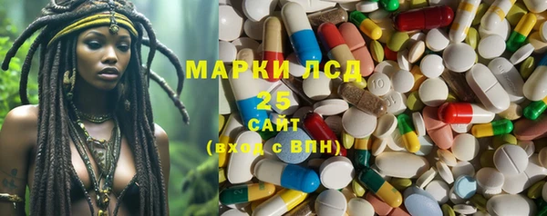 apvp Аркадак